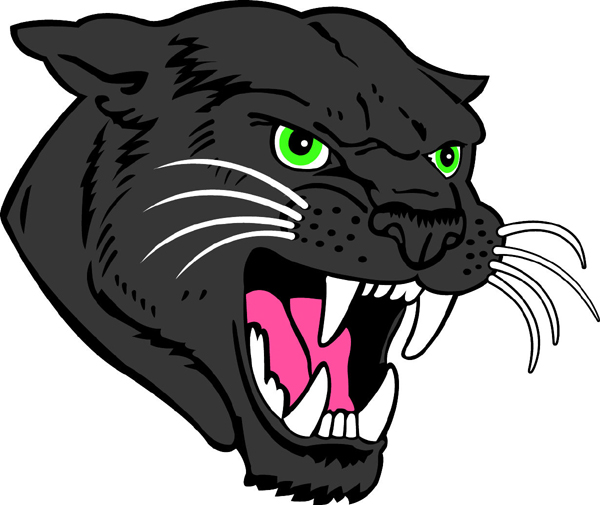 Panther Head 1 mascot sports decal. Make it personal! 